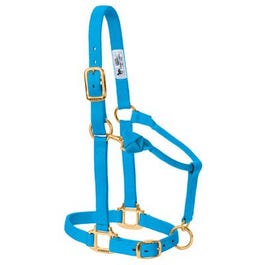 Horse Halter, Snap, Hurricane Blue Nylon, 1-In., Average/Weanling Draft