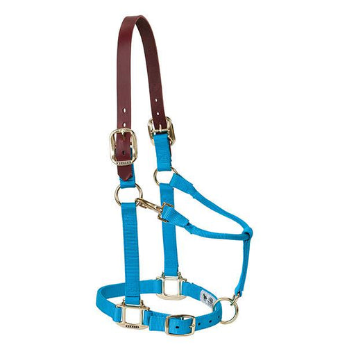 Weaver Leather Breakaway Original Adjustable Chin And Throat Snap Halter Average 1 Blue (1, Blue)