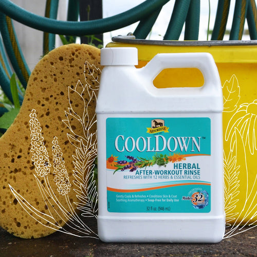 Absorbine® CoolDown®