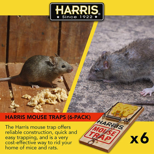 Harris Mouse Snap Trap (2 Pack)