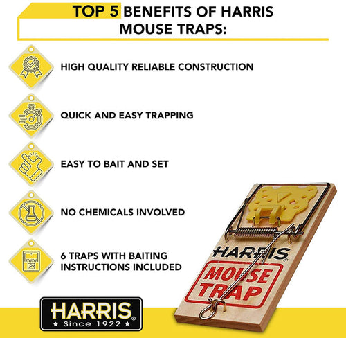 Harris Mouse Snap Trap (2 Pack)