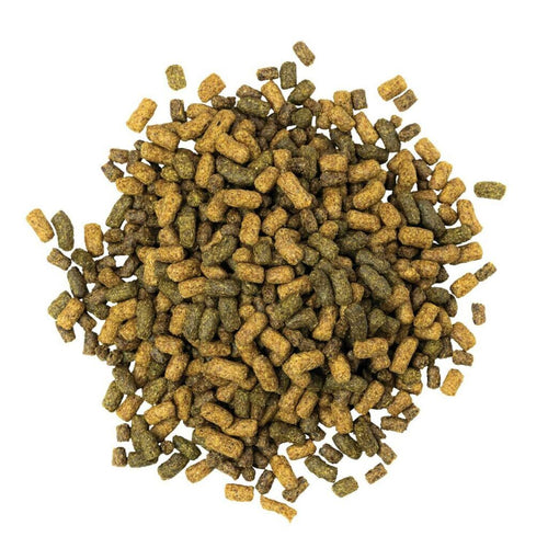 Blue Seal Sentinel Active Senior