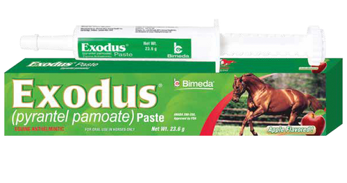 Bimeda Exodus® Paste (pyrantel pamoate)