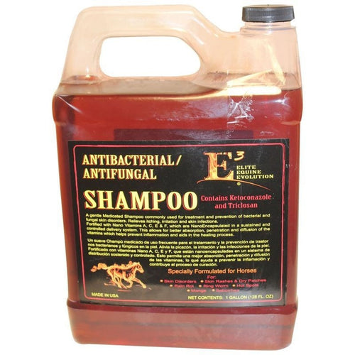 Main Tenant Une Barre De Savon Avec De La Mousse Et Un Espace De Copie Main Tenant Une Barre De Savon Avec De La Mousse Et Un Espace De Copie